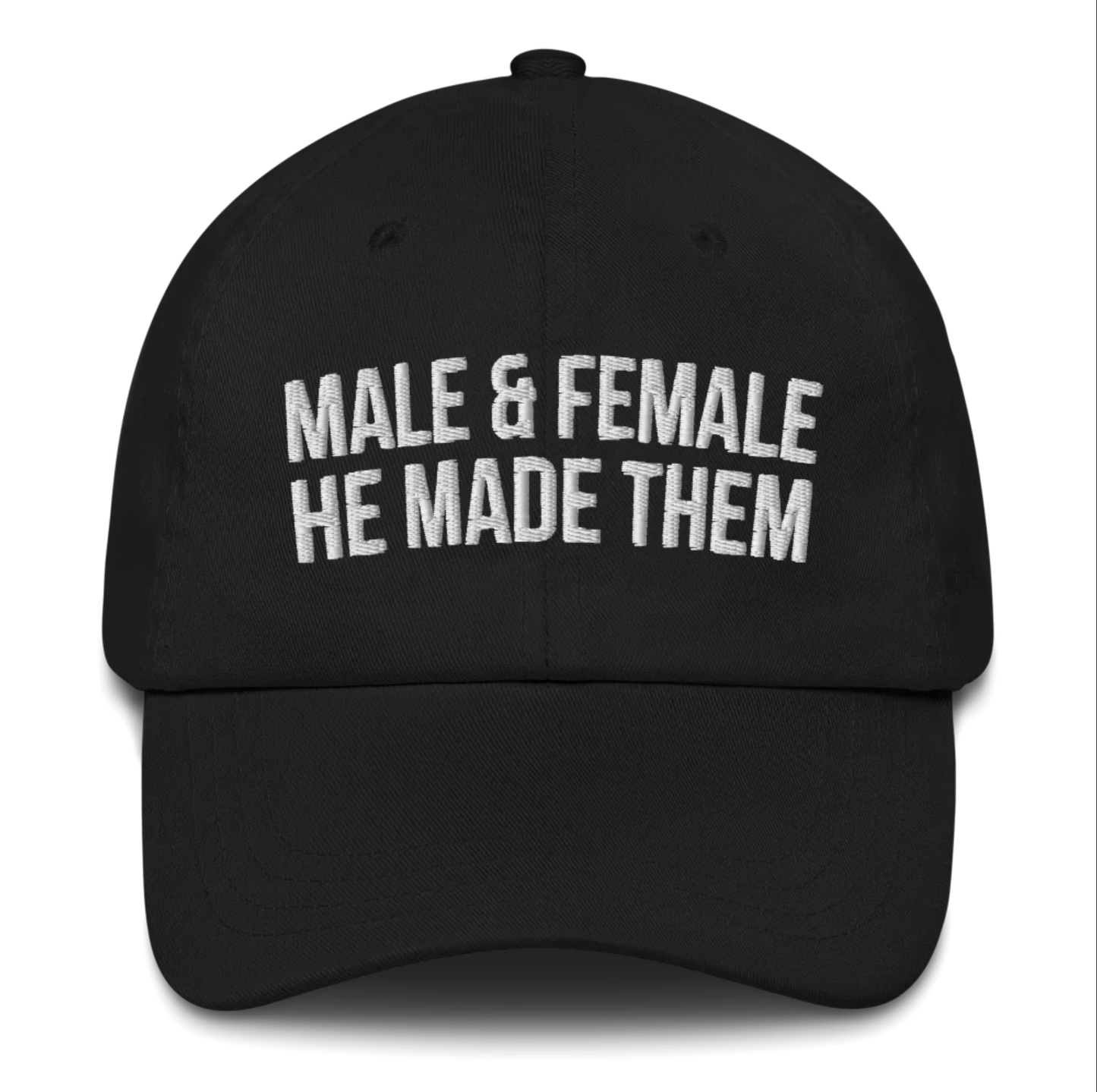 Male & Female He Made Them - Dad Hat
